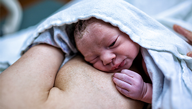 Just_born_Desktop Article Pages 375x213px