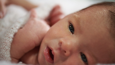 Newborn senses