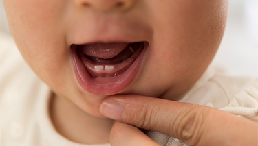 Baby teething chart