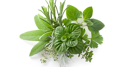 Herbs