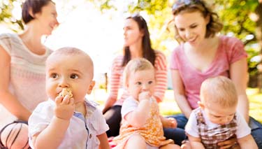 Fertility rate