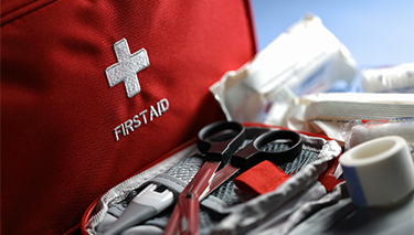 Emergency_FA_Desktop Article Pages 375x213px