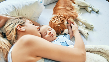 Babies and dogs