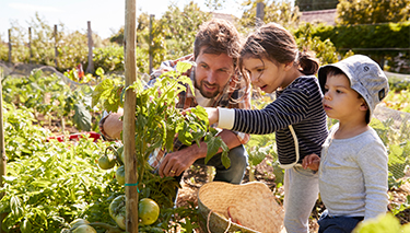 Garden lessons for kids
