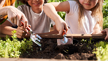 Gardening with kids