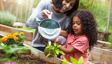 Gardening safety