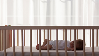 Cots_Desktop Article Pages 375x213px