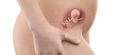 17 Weeks Pregnant