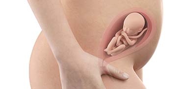 23 Weeks Pregnant