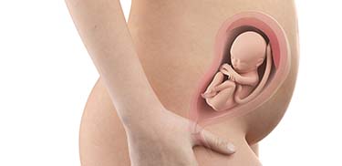 27 Weeks Pregnant