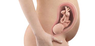 30 Weeks Pregnant