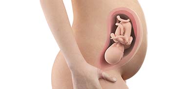 32 Weeks Pregnant