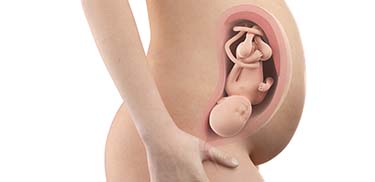 34 Weeks Pregnant