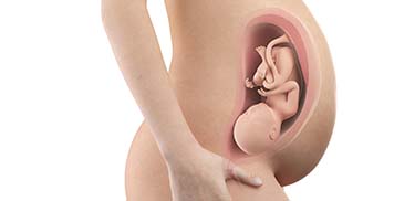 37 Weeks Pregnant