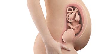 38 Weeks Pregnant
