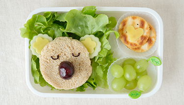 Lunch_box_Desktop Article Pages 375x213px