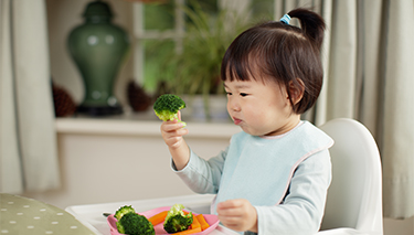 Toddler_healthy_Desktop Article Pages 375x213px