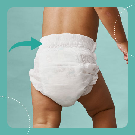 SP NP Waistband